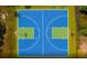 Aerial view of a full-sized community basketball court available for resident activities at 190 West Bradford Pointe Dr, Summerville, SC 29486