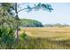 Scenic marsh view with golden grasses, lush trees, and a wooden walkway leading to a serene landscape at 1709 Vireo Ct, Johns Island, SC 29455