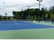 Two well-maintained tennis courts with nets and surrounding fencing at 319 Trailmore Ln, Summerville, SC 29486