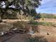 Relaxing backyard with a picnic table and chicken at 1661 Lonnie Taylor Ln, Wadmalaw Island, SC 29487