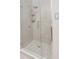 Clean shower with glass enclosure and pebble tile floor at 169 Cooper River Dr, Mount Pleasant, SC 29464