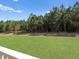An expansive lawn stretches out toward a dense line of trees, offering privacy and a natural backdrop at 319 Calm Water Way, Summerville, SC 29486