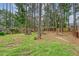 A large grass-filled backyard surrounded by mature trees with minimal vegetation at 119 Osage Way, Summerville, SC 29483