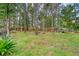 A long grass backyard with mature trees, bird houses, and other backyard decorations at 119 Osage Way, Summerville, SC 29483