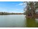 Scenic waterfront view with lush trees and calm water at 282 Woodland Oak Way, Summerville, SC 29485