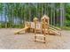 Community playground with slide, climbing structures, and swings surrounded by a beautiful wooded area at 144 Seaton Street, Summerville, SC 29486
