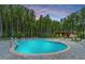 Stunning community pool with lounge chairs, set against a backdrop of lush green trees and a dusky sky at 144 Seaton Street, Summerville, SC 29486