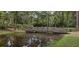 A serene community scene featuring a wooden bridge reflected in the calm water, surrounded by lush greenery and towering trees at 208 Sumter Ave, Summerville, SC 29483