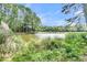 Peaceful lake view with lush greenery at 1287 Hogans Aly, Mount Pleasant, SC 29466