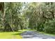 Curving road with moss-draped trees at 2972 Anchor Watch Dr, Wadmalaw Island, SC 29487