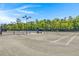 Well-lit tennis courts with surrounding trees at 1005 Shinnecock Hills Ct, Summerville, SC 29483
