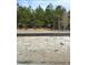 Image of a vacant lot with wooded border at 1081 Irving Manigault Rd, McClellanville, SC 29458