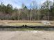 View of a pond with trees in the background at 1085 Irving Manigault Rd, McClellanville, SC 29458