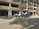 A horse-drawn carriage ride through the historic streets of a city at 15 Horlbeck Aly # A-7, Charleston, SC 29401
