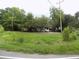 Overgrown yard with large trees and a house in the background at 571 Main Rd, Johns Island, SC 29455