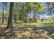 Spacious community lawn with mature trees and neighboring homes at 6240 April Pine Cir # B, North Charleston, SC 29406