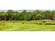 Beautiful golf course view with lush greenery, a wooden bridge, and mature trees in a serene, natural setting at 1116 Summerwind Ln, Seabrook Island, SC 29455