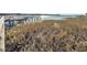 View of marsh grasses near the water at 2395 Folly Road Rd # 4F, Folly Beach, SC 29439