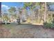 Large backyard with grassy area and mature trees at 250 W Medina St, Summerville, SC 29483