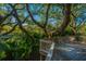 Deck with wooden railings, offering a peaceful, wooded view at 7 Dunecrest Trace, Seabrook Island, SC 29455
