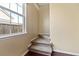Carpeted staircase leading to upper level, with window next to it at 7315 Coopers Hawk Dr, Hanahan, SC 29410