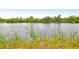 Scenic view of a lake with lush greenery at 1583 Paradise Lake Dr, Mount Pleasant, SC 29464