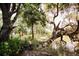 Natural landscape featuring trees, grassy terrain, and a tranquil body of water at 9009 Stern Aly, Johns Island, SC 29455