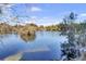 Peaceful lake view with lush greenery at 1615 Paradise Lake Dr, Mount Pleasant, SC 29464