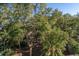 Overhanging trees and vegetation from above at 279 Driftwood Ln, Edisto Beach, SC 29438