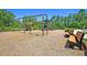 Playground with swings and playset at 9736 Black Willow Ln, Ladson, SC 29456