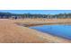 Pond view with grassy area at 1040 Wading Point Blvd, Huger, SC 29450