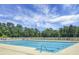 Community lap pool with surrounding trees at 307 Pimpernel St, Summerville, SC 29483