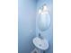 This bathroom features a sink, mirror, light fixture, and blue walls at 1708 Indaba Way, Charleston, SC 29414