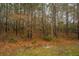 Wooded backyard with natural landscape at 275 Jackson St, Goose Creek, SC 29445