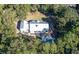 Aerial view of house, pool, and surrounding trees at 3365 Westphal Dr, Johns Island, SC 29455