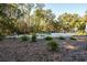 Private kidney-shaped pool surrounded by lush landscaping at 3365 Westphal Dr, Johns Island, SC 29455