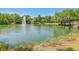 Serene community lake featuring a central fountain at 8382 Camp Gregg Ln, North Charleston, SC 29418