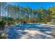 Inviting swimming pool surrounded by lush landscaping and a private wooded backdrop at 490 Cummings Chapel Rd, Ridgeville, SC 29472