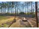 Backyard with firepit and string lights at 339 Spectrum Rd, Summerville, SC 29486