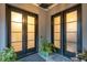 Double front doors with frosted glass panels at 341 Bridgetown Pass, Mount Pleasant, SC 29464