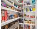 Well-organized pantry with ample shelving for storage at 341 Bridgetown Pass, Mount Pleasant, SC 29464