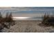 Scenic beach access path leading to the ocean at 904 E Arctic Ave, Folly Beach, SC 29439