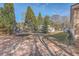 Backyard with trampoline and storage shed at 208 Catfish Landing Cir, Bonneau, SC 29431
