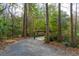 Wooden footbridge over a tranquil waterway in a wooded area at 31 Frogmore Rd, Mount Pleasant, SC 29464