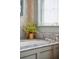 Freestanding bathtub with marble surround and leafy plant at 43 Hasell St, Charleston, SC 29401