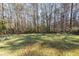 Spacious backyard with wooded area and chain link fence at 9772 Berrywood Dr, Ladson, SC 29456