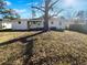 Large backyard with mature tree and grassy lawn at 1104 Berkeley St, Hanahan, SC 29410