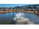 Community pond with central fountain feature at 234 Sea Lavender Ln, Summerville, SC 29486