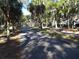 Paved pathway meandering through lush landscaping with palm trees and shade trees at 345 Sea Cloud Cir # 345, Edisto Island, SC 29438