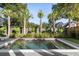Clean lines, modern pool with palm trees at 507 Mccants Dr, Mount Pleasant, SC 29464